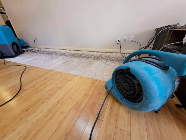 Professional Structural Drying technician working in Latonia, KY